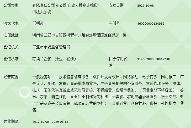 信息的海洋：海南经济咨询背后的精彩