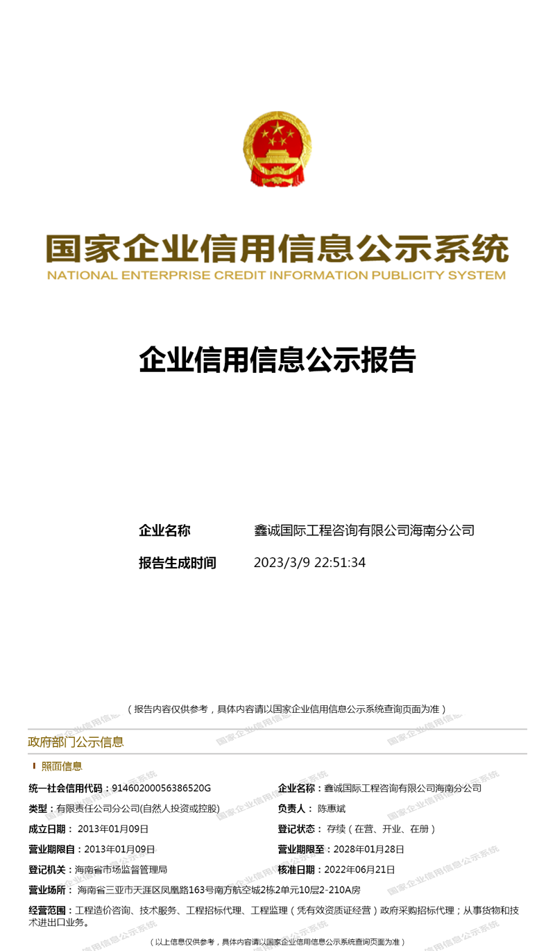 海南信息咨询